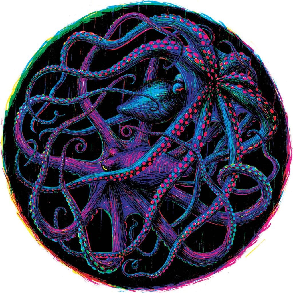 Illustration réalisé pour le single octopus de DIS/MAZE.
