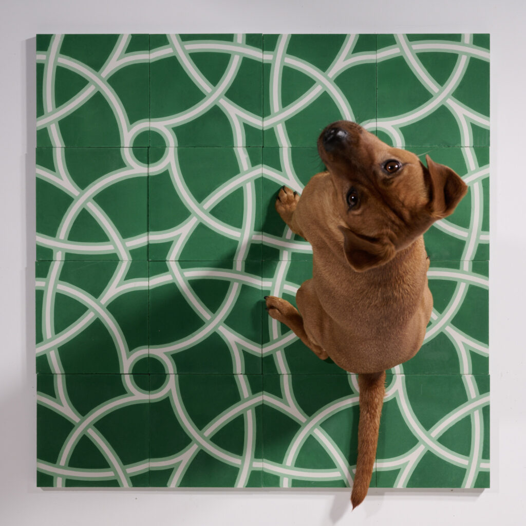 carreaux de ciment modulables design made in france par césar Bazaar, Lianes entrelacs vert, design graphique baptiste vandaele